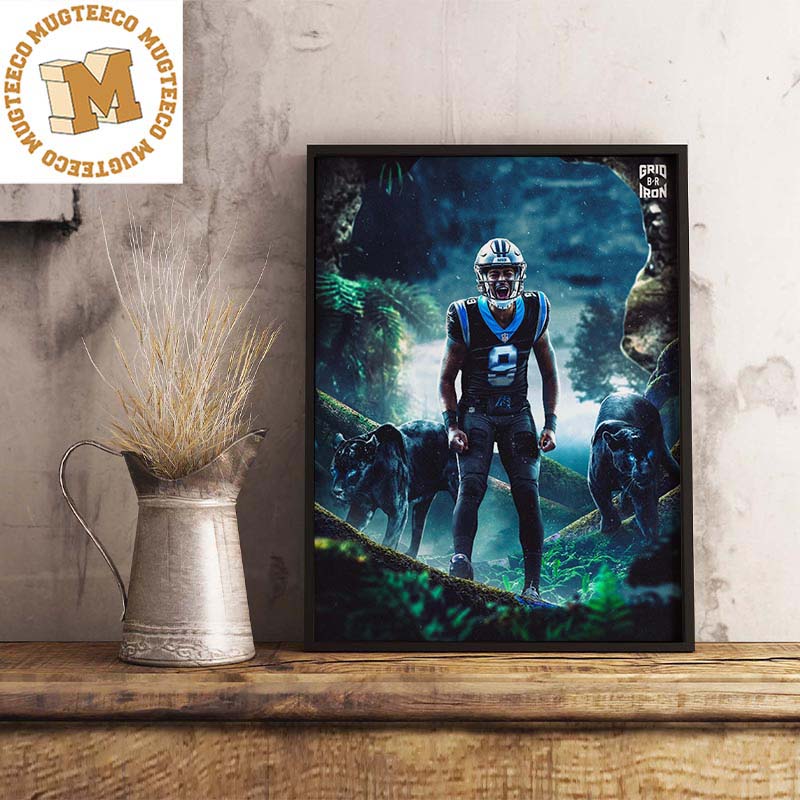 NFL Carolina Panthers - Helmet 16 Wall Poster