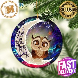Cute Owl Love You To The Moon And Back Galaxy Personalized Christmas Decorations Ornament