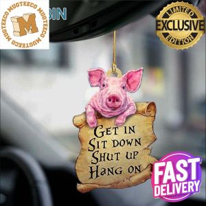 Pig Get In Sit Down Shut Up Hang On Xmas Gifts Christmas Decorations Ornament