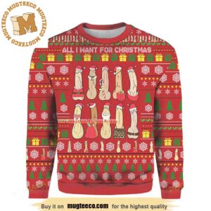 All I Want For Christmas Is Dicks Lined Up With Santa Costumes Red Funny Holiday Ugly Sweater 2023