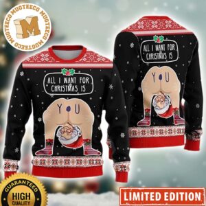 Hilarious Situations All I Want For Christmas Is You Ass Hole Ugly Christmas Sweaters